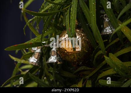 Christmas decorations 16150 Stock Photo