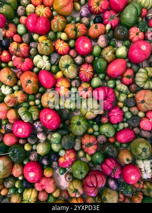 Various types of heirloom tomatoes. Stock Photo