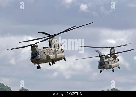 CH-47 Chinook helicopters of the Dutch Air Force. Stock Photo