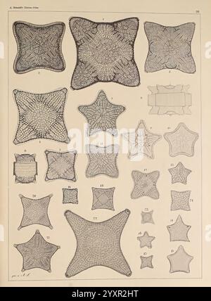 Atlas der Diatomaceen-Kunde, Leipzig, O.R. Reisland, 1874-19, atlases, Bacillariophyceae,, The composition showcases a series of intricate star-shaped and polygonal designs, meticulously arranged in a grid format. Each shape features detailed patterns, highlighting the unique textures and geometric complexity of the forms. Some shapes emphasize symmetry with various levels of detail, while others display more organic, flowing lines. This collection may be representative of lacework, textile patterns, or ornamental designs, evoking a sense of craftsmanship and artistic precision. The numbers ac Stock Photo