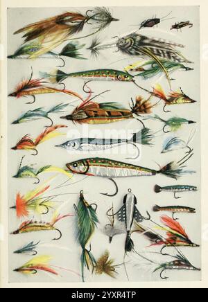 Fisherman's lures, game-fish food, New York, C. Scribner's Sons, 1920, food, fishing, fishes, A vibrant array of fishing lures and flies, meticulously arranged and showcasing a variety of designs and colors. The collection includes intricately crafted pieces, each featuring distinct materials and patterns that mimic the appearance of different baitfish and insects. Various shapes, such as elongated minnows and bulky poppers, highlight the creative artistry behind each lure, while the use of bright feathers, shiny metals, and other attractants emphasize their purpose in enticing fish. This ense Stock Photo