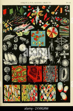 The micrographic dictionary, London, J. Van Voorst, 1883, dictionaries, microscopes, microscopy, natural history,, This detailed arrangement showcases a diverse collection of opaque and polarizing objects, each with unique shapes and colors. The layout consists of various patterns, including geometric designs, natural forms, and abstract representations. Notable items include vibrant spirals, intricate shells, and striking crystalline structures. Each object is numbered, suggesting a methodical categorization, and the overall composition highlights the fascinating interplay of light and color. Stock Photo