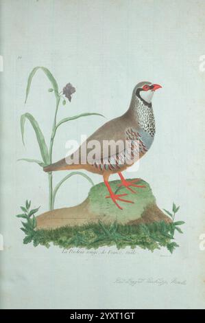 The combination of gray and dark red, natural background, decorative