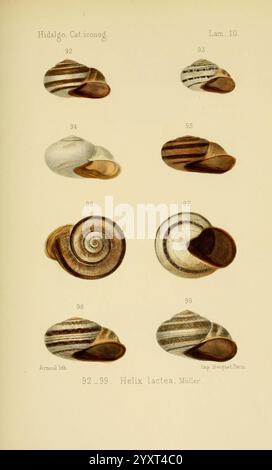 An illustrated study from 1875 showcasing examples of household decor ...