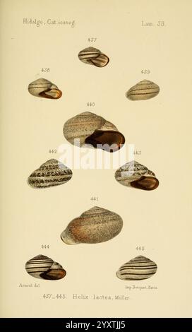 An illustrated study from 1875 showcasing examples of household decor ...