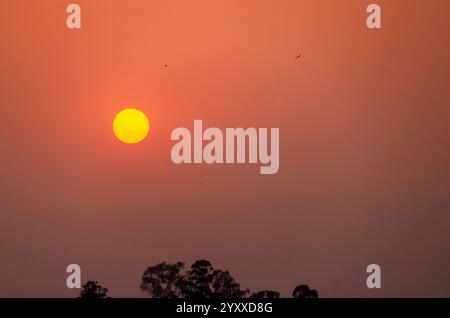 The Sun setting over the horizon. Stock Photo