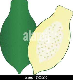 Vector fruit Green Papaya cartoon vector illustration isolated object Stock Vector