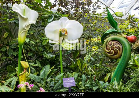 Botanical sculptures by Makoto Azuma, Hybrid series,, Cloud Forest, Gardens by the Bay, Singapore, Photo: David Rowland / One-Image.com Stock Photo