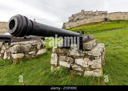 Spišský hrad, Historical Gun at the UNESCO World Heritage Site, Fortress in the Background Stock Photo
