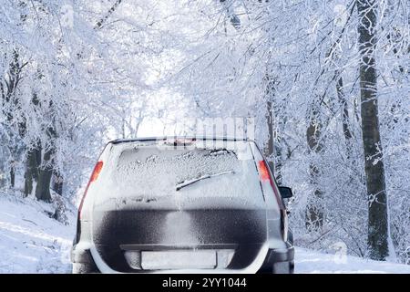 Car on a winter road through a snow covered forest. Stock Photo