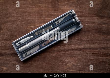 utility knife (also known as precision or exacto knife) with interchangeable blades used for crafting or modelmaking Stock Photo