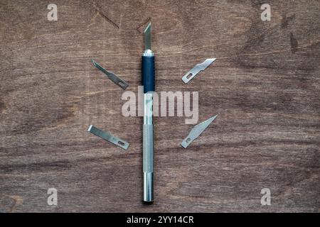 utility knife (also known as precision or exacto knife) with interchangeable blades used for crafting or modelmaking Stock Photo