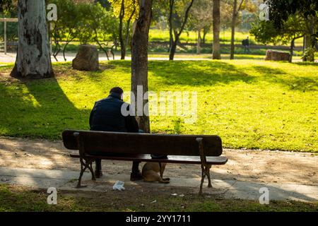 A man an his dog in a bench in the park Stock Photo