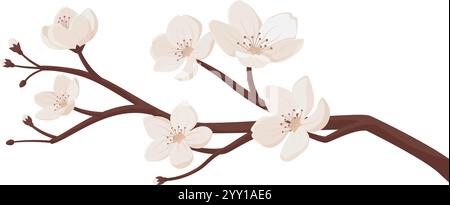 Beautiful cherry flowers blossoming on a branch, isolated on white background Stock Vector