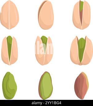 Collection of pistachio nuts isolated on white background, healthy food concept Stock Vector