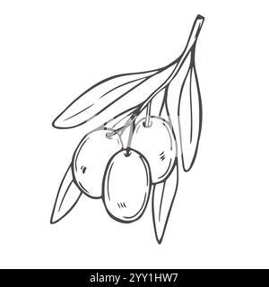 Olive hand drawn vector sketch set in doodle style isolated on white background. Olive line art set of branch, glass bottle of oil, olives on a stick. Stock Vector