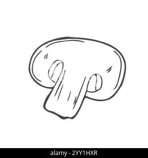 Hand drawn sketch style mushrooms compositions set. Champignon with cuts, oysters, chanterelles and porcini mushrooms. Organic farm and forest food fo Stock Vector
