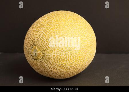 Still life with Galia melon on slate board with dark background. Photo with maximizing depth of field. Stock Photo