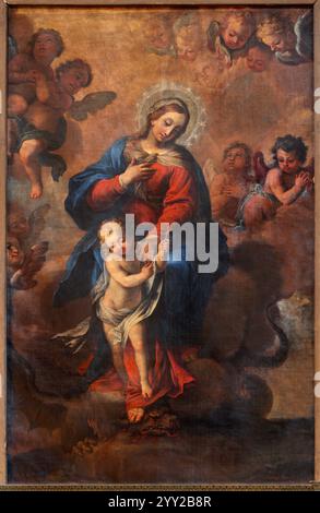 PAVIA, ITALY - SEPTEMBER 8, 2024: The painting of Madonna as Immaculate in the Cathedral Santa Maria Assunta by Bernardino Ciceri ( 1650 – 1728). Stock Photo