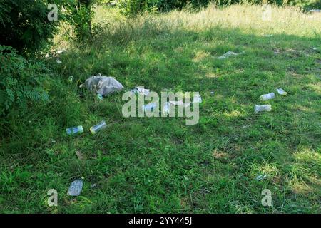 plastic bottles on the grass, garbage, pollution Stock Photo