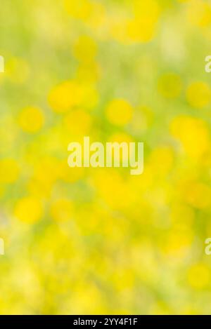 Abstract bokeh background of wild orchids in Andalusia, with a dreamy, soft-focus effect and glowing yellow tones. Stock Photo