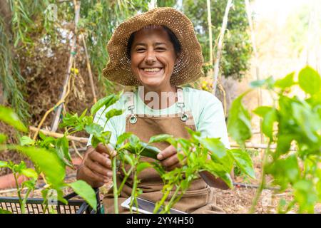 A joyful gardener wearing a straw hat and apron holds a tablet in a lush vegetable garden, showcasing how technology enhances modern gardening practic Stock Photo