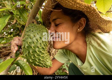 Close-up of a woman wearing a straw hat, smiling as she smells a ripe soursop fruit hanging from a tree, surrounded by lush green foliage in a tropica Stock Photo