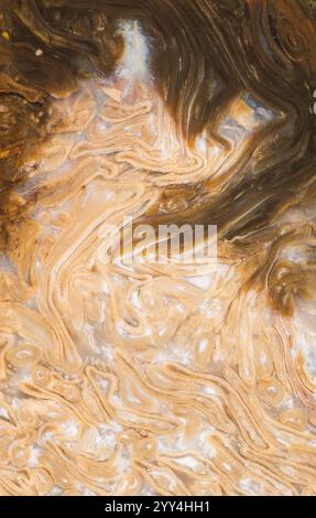 Close-up of a fossil surface displaying intricate patterns in shades of brown, beige, and white, highlighting the unique textures formed over millenni Stock Photo
