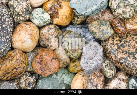 A close-up view of multicolored rocks on the bank of a stream in Colorado, displaying a variety of textures and hues. Stock Photo
