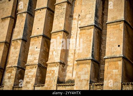 Close-up view of the weathered, textured stone facade of Palma's historic cathedral, showcasing its aged beauty and architectural details. Stock Photo