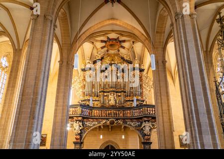 Orgel der Severikirche in Erfurt, Thüringen, Deutschland  | St Severus' Church organ in Erfurt, Thuringia, Germany, Europe Stock Photo