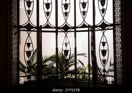 Large Vintage luxury window with rustic accents. Silhouette of decoration and herbs with backlight. Stock Photo