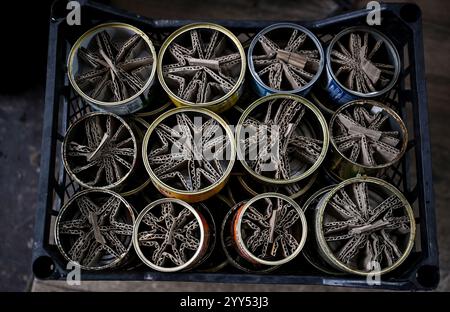 Non Exclusive: ZAPORIZHZHIA, UKRAINE - DECEMBER 17, 2024 - Trench candles made for the needs of the Armed Forces of Ukraine at the Palianytsia volunte Stock Photo