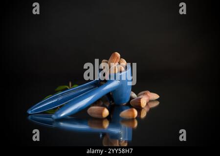 hazelnuts with nutcracker isolated on black background. Stock Photo