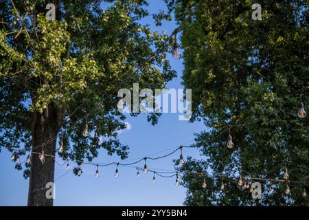 Light bulbs on string wire hanging on trees against beautiful green forest background. Long garland of lights. A wedding, event or festival decoration Stock Photo