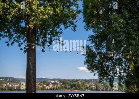 Light bulbs on string wire hanging on trees against beautiful green forest background. Long garland of lights. A wedding, event or festival decoration Stock Photo