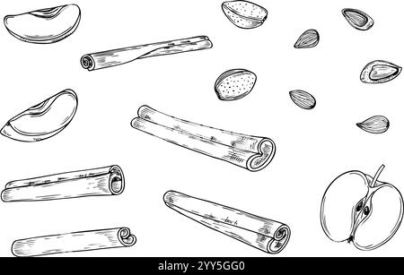 Fruit slices, nuts, and cinnamon sticks set line art black ink sketch. Apples, almond and seasoning monochrome illustration hand painted. Ingredients Stock Vector