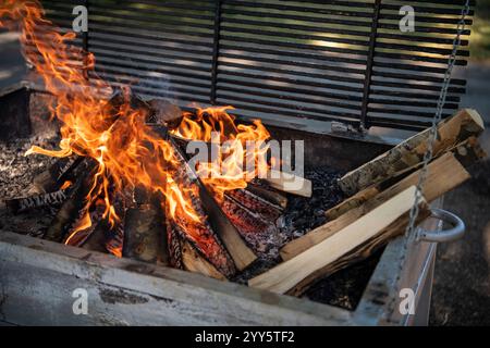 Empty grill grate and tongues of fire flame. Wood chunks and burning firewood, glowing coals, fire and flames closeup. Preparation for barbecue and gr Stock Photo