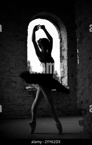 Ballerina. Silhouette of a young graceful classical ballet female dancer dressed in pointe and black tutu skirt, performing an graceful dance movement Stock Photo