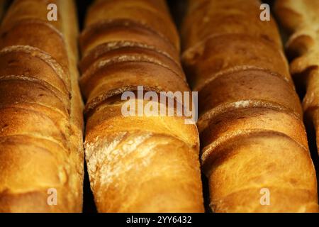 Baguettes in the baking shop. Fresh loaf of bread, bakery products Stock Photo