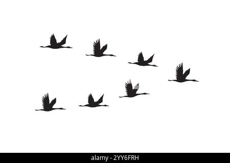 Vector hand drawn flying cranes birds flock silhouette isolated on white background Stock Vector