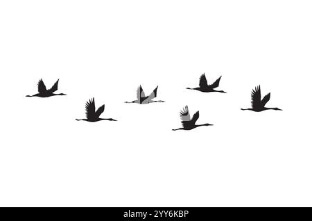 Vector black hand drawn flying cranes birds silhouette flock isolated on white background Stock Vector