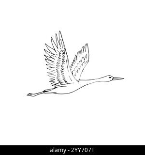 Vector hand drawn doodle sketch flying crane bird isolated on white background Stock Vector