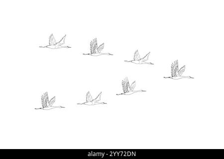 Vector hand drawn doodle sketch flying cranes birds flock isolated on white background Stock Vector