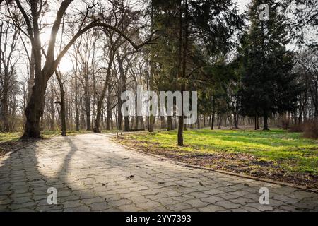 Alley in the park in springtime. Afternoon sunlight casts long shadows on the tiled walkway in a park. Stock Photo