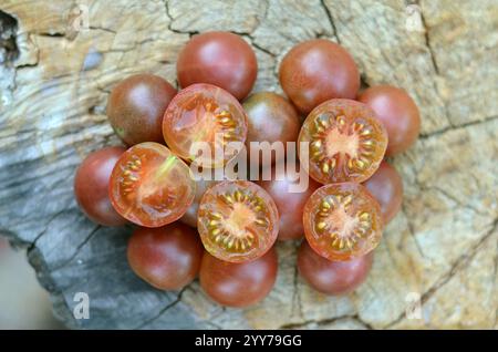Tomato variety Black Cherry, whole and half on the background of an old stump. Concept of growing varietal tomatoes. Stock Photo