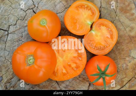 Close-up of whole and halved orange tomatoes on an old tree stump as a background. Organic gardening concept. Stock Photo