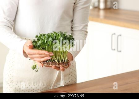 Woman holding fresh micro green sprouts in kitchen Stock Photo