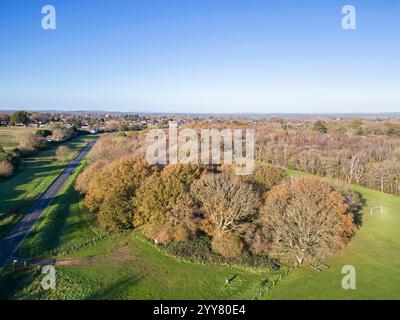 aerial view of henfield common with autumn colours on the trees in west sussex Stock Photo
