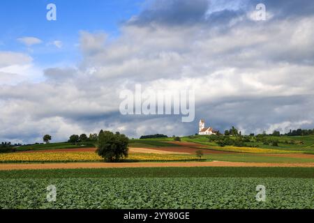 Church St. Moritz with fields of crops diversity in a cloudy and sunny day in Hallau, Klettgau, Schaffhausen, Switezrland. Klettgau is a well-known wi Stock Photo